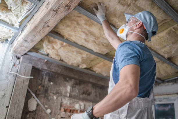 Best DIY Insulation Kits and Guidance in Summerde, AL
